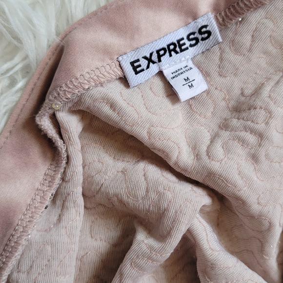 Express Champagne Sequin Dress - Picture 10 of 12